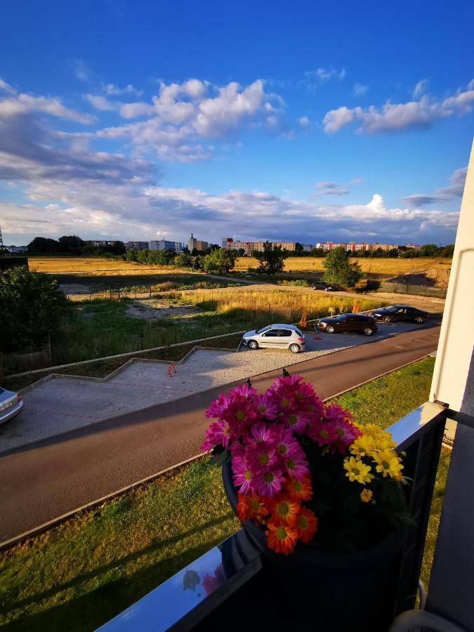 Teo Apartment Braşov Exteriör bild